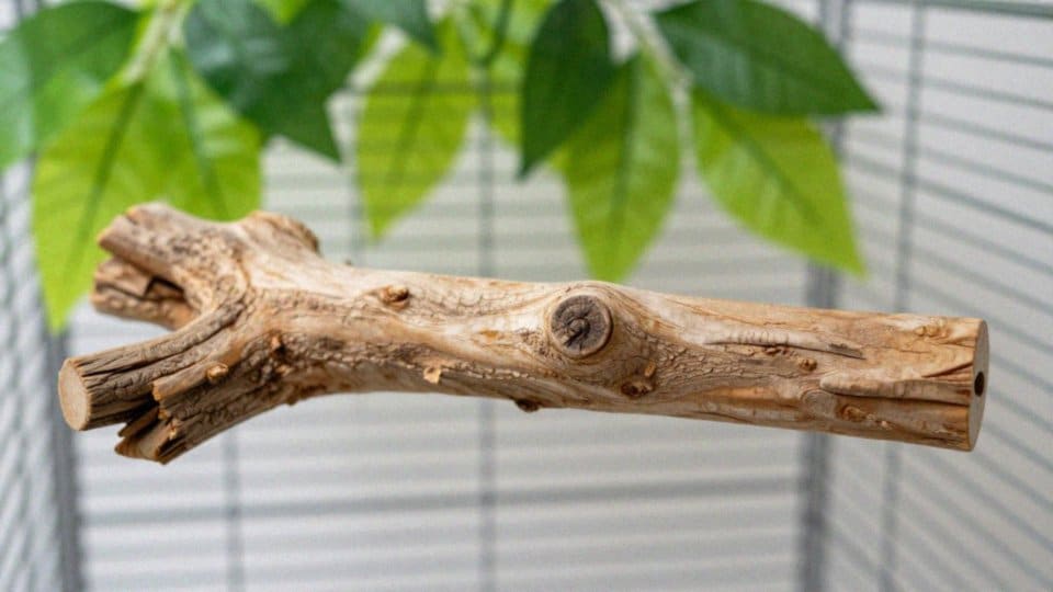 Dla jakich papug przeznaczona jest żerdź drewniana?