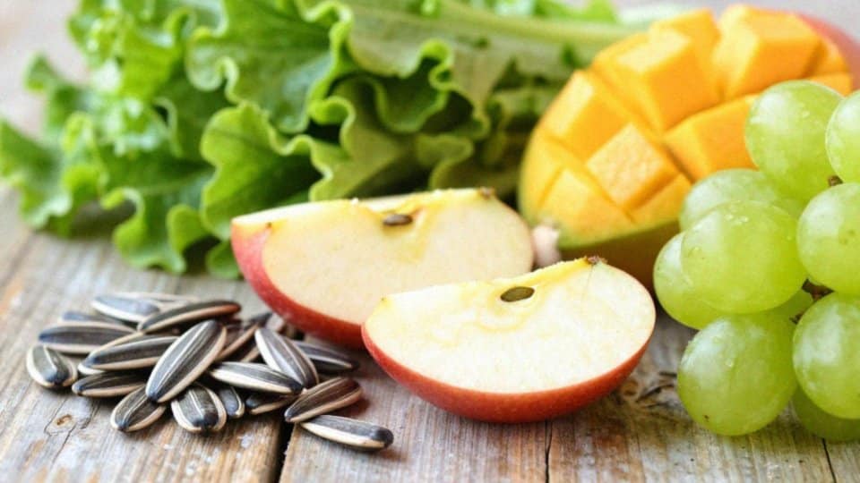 Czym odżywia się aleksandretta większa?