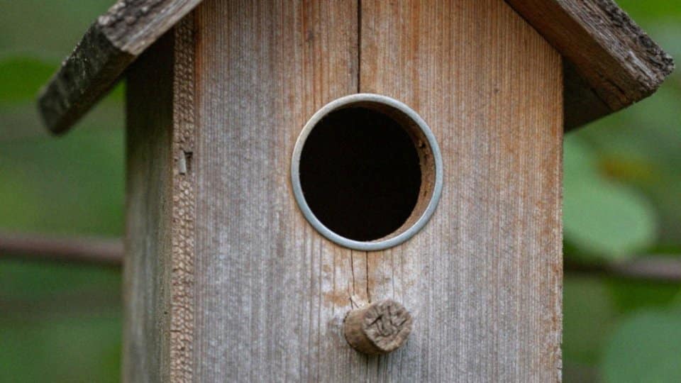 Jak dobrać średnicę otworu w budce?