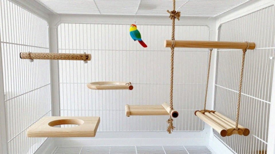 Jak dobrać żerdzie i huśtawki do klatki papugi falistej?