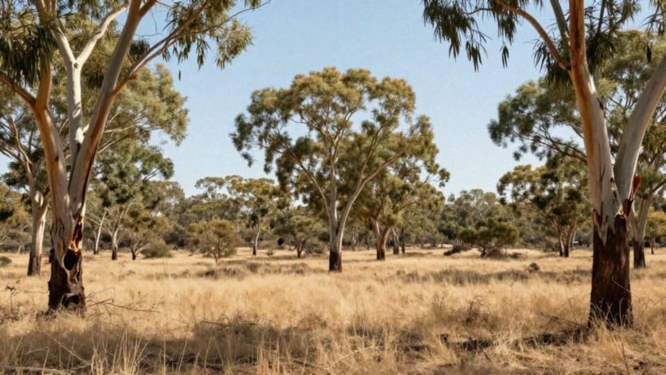 Gdzie występuje białolica w naturze?