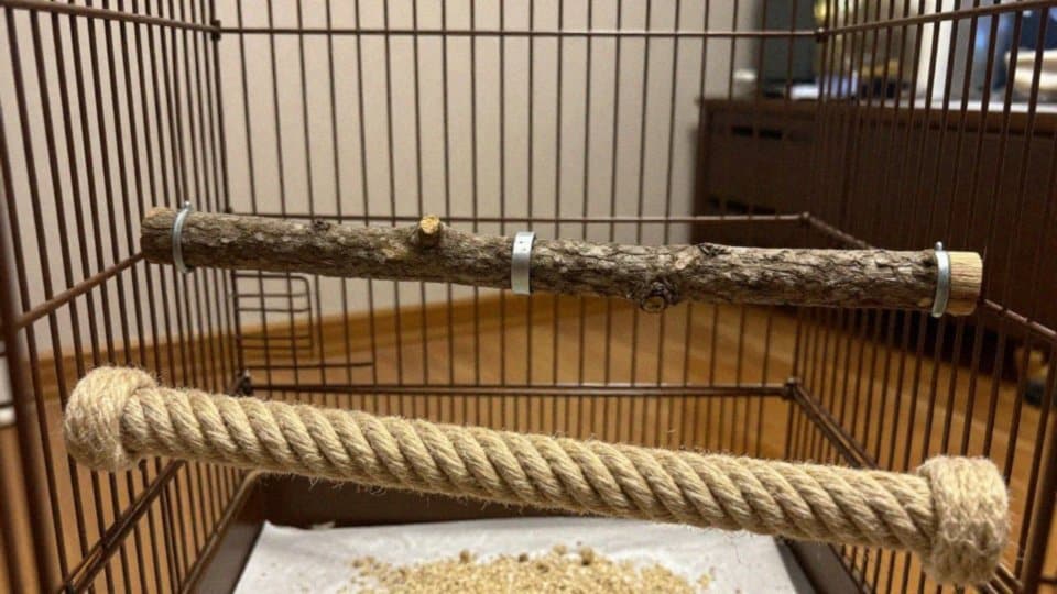 Jak zamocować gałąź i kiedy użyć liny?