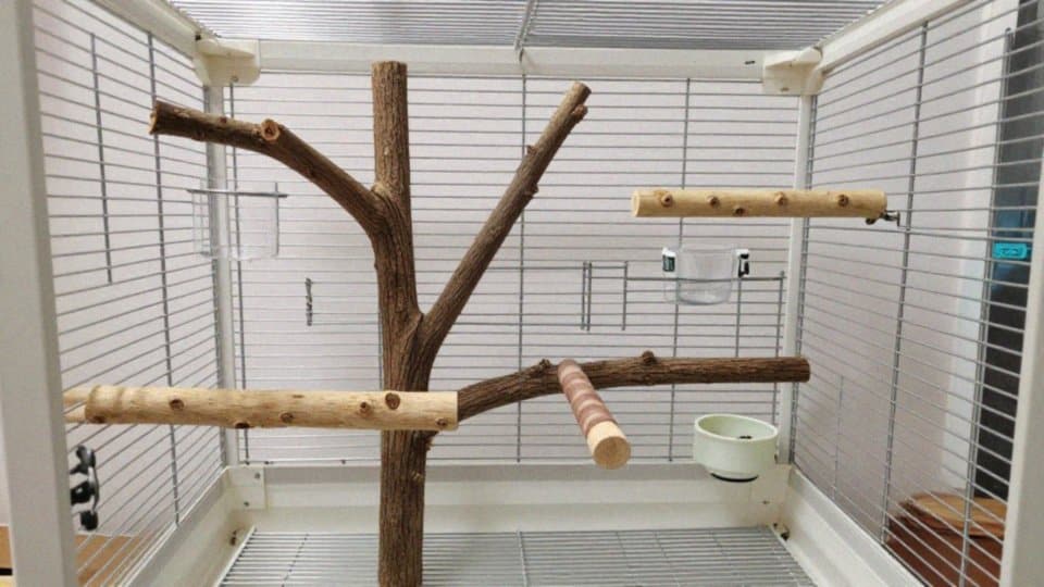 Jak ułożyć żerdki i pręty w klatce?