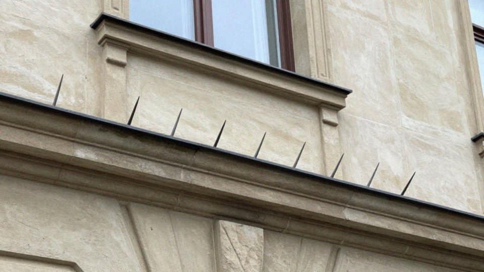 Jak skutecznie odstraszać ptaki i zabezpieczać powierzchnie przed odchodami?