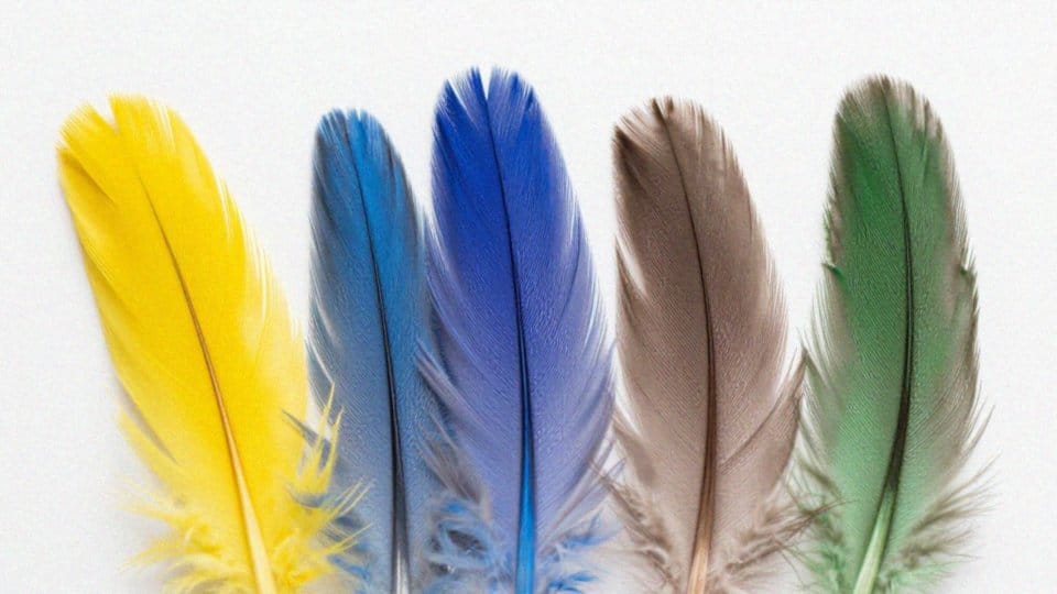 Jak genetyka zmienia kolory papug?