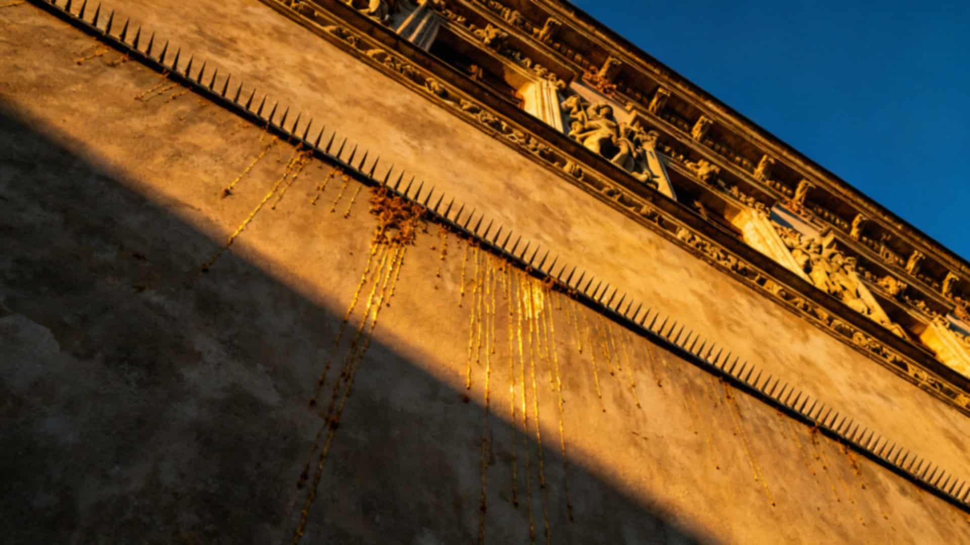 Czy ptasie odchody są szkodliwe? Zagrożenia i zabezpieczenia